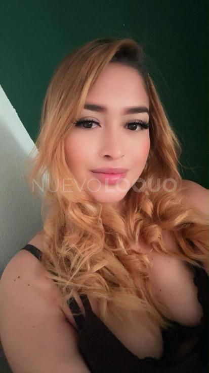NuevoLoquo2