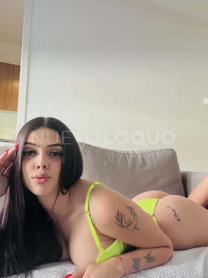 NuevoLoquo2