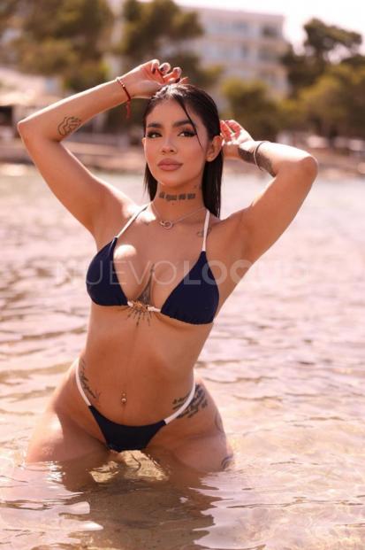NuevoLoquo2