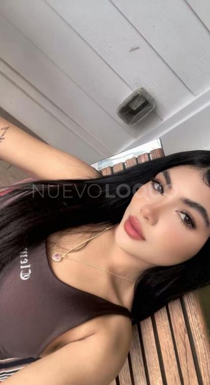 NuevoLoquo3