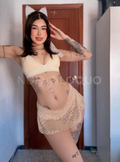 NuevoLoquo3