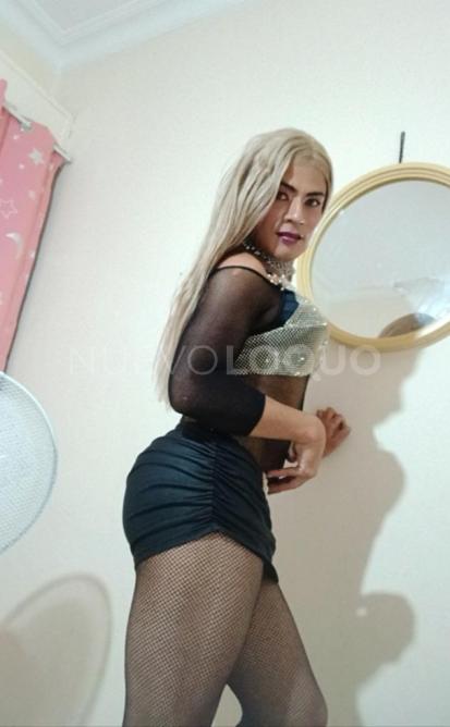 NuevoLoquo1