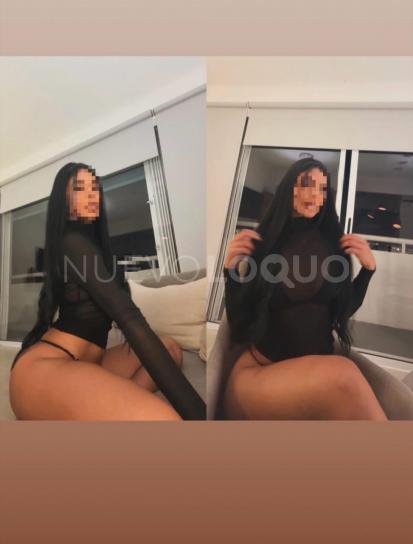NuevoLoquo2