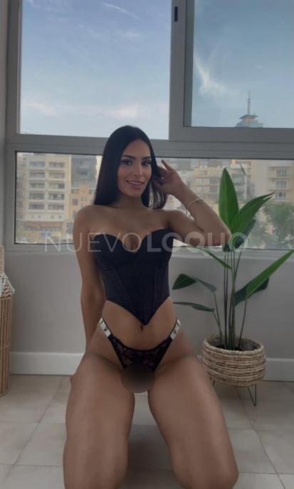 NuevoLoquo4