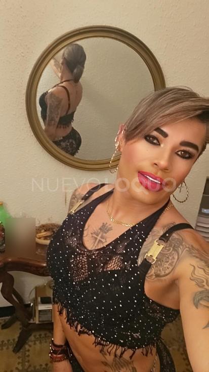  Novedad trans en tu ciudad