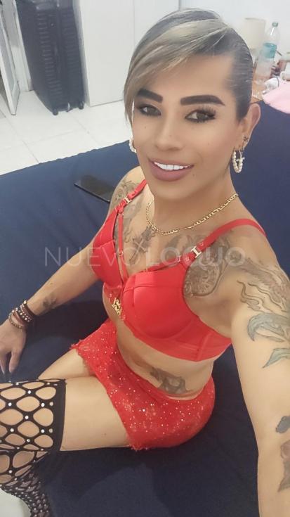 NuevoLoquo2