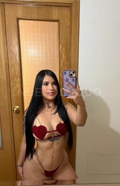 NuevoLoquo1