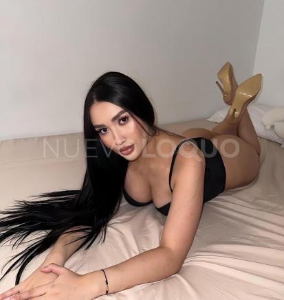NuevoLoquo1