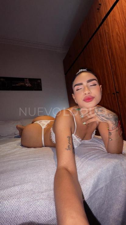 NuevoLoquo5
