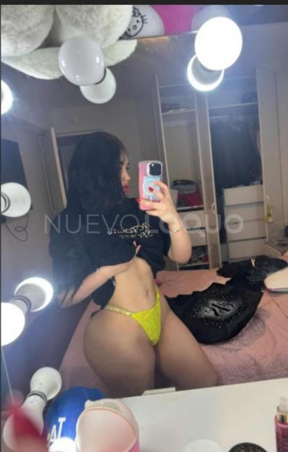 NuevoLoquo3