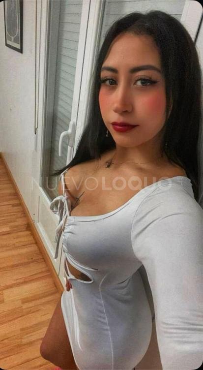 NuevoLoquo3