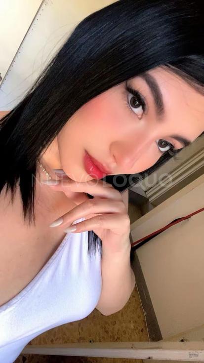 NuevoLoquo3