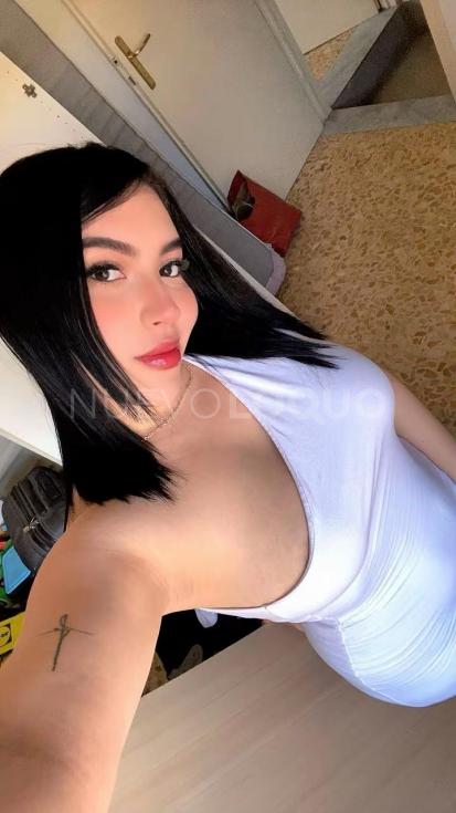 NuevoLoquo4