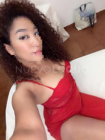 NuevoLoquo3