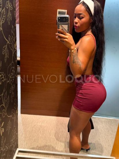 NuevoLoquo2