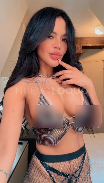 NuevoLoquo2