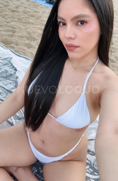 NuevoLoquo3