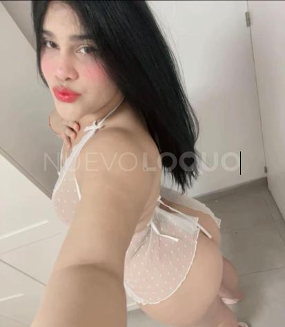 NuevoLoquo4