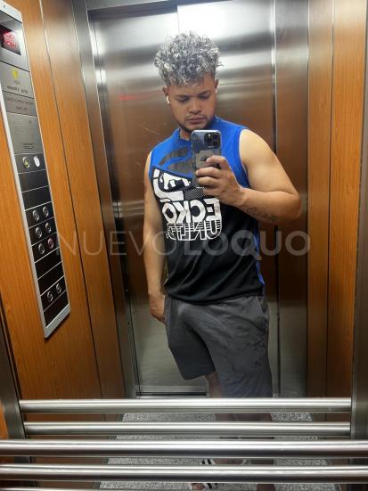 NuevoLoquo3