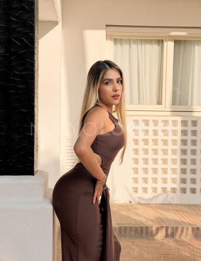 NuevoLoquo4