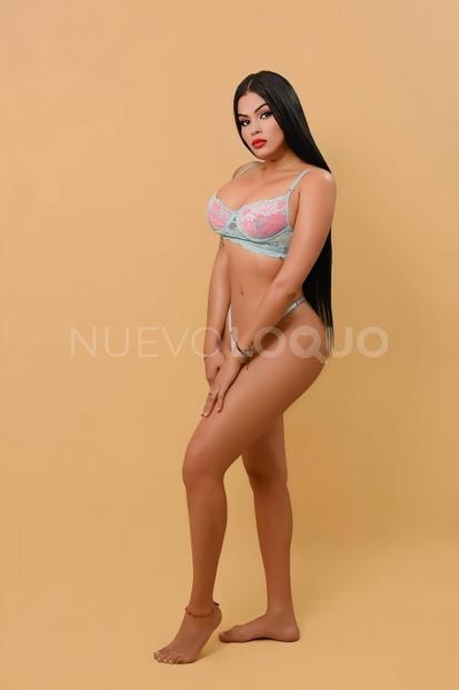 NuevoLoquo3