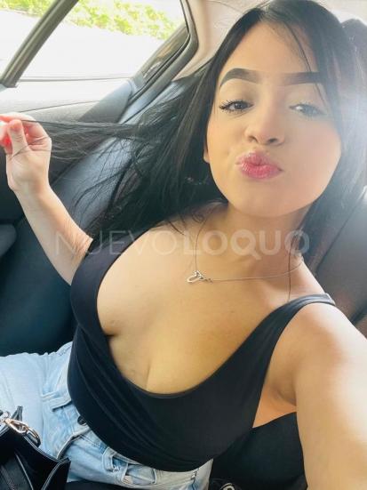 NuevoLoquo2