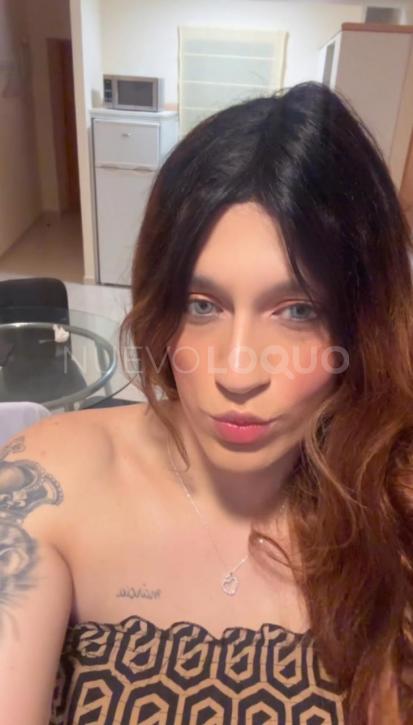 NuevoLoquo0