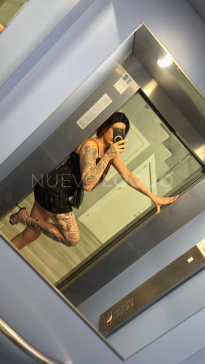 NuevoLoquo3