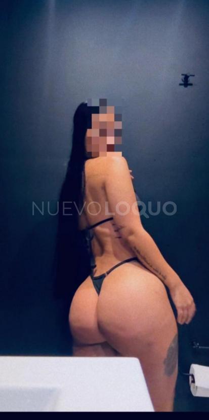 Novedad colombiana