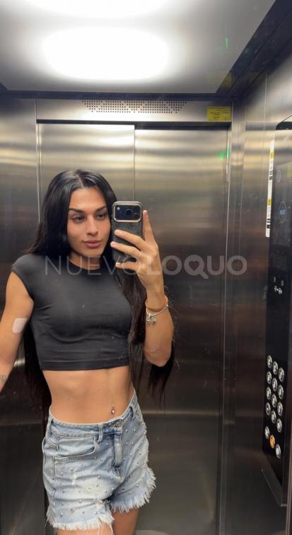 NuevoLoquo5