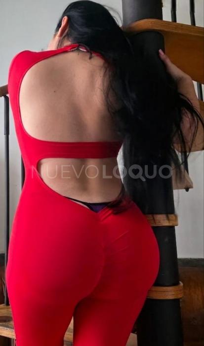 NuevoLoquo1