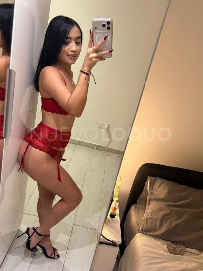 NuevoLoquo4