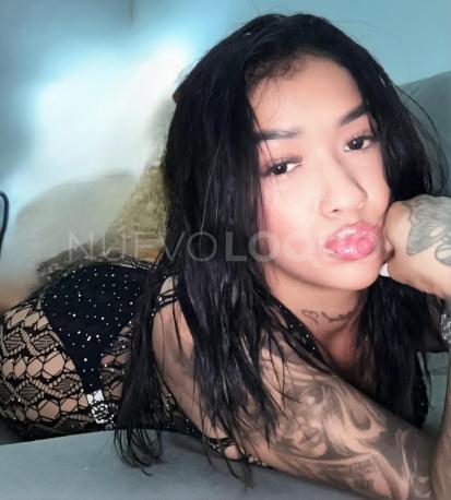 NuevoLoquo3