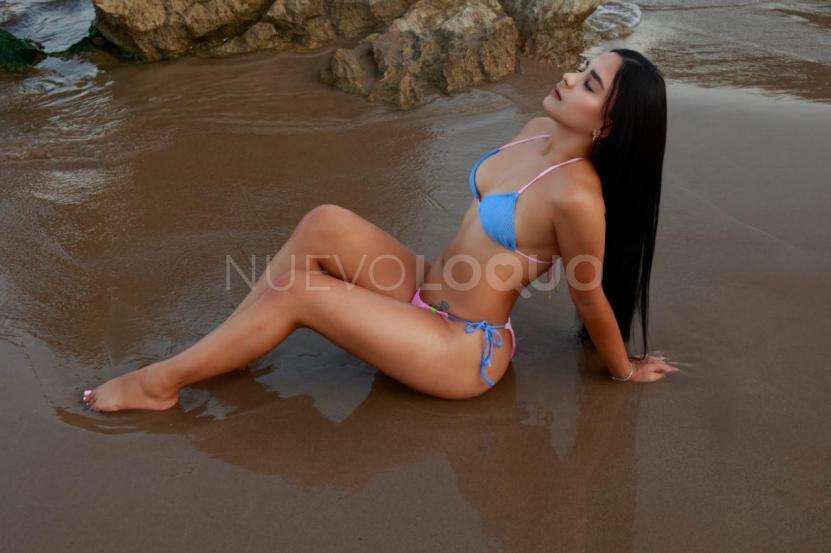 NuevoLoquo4