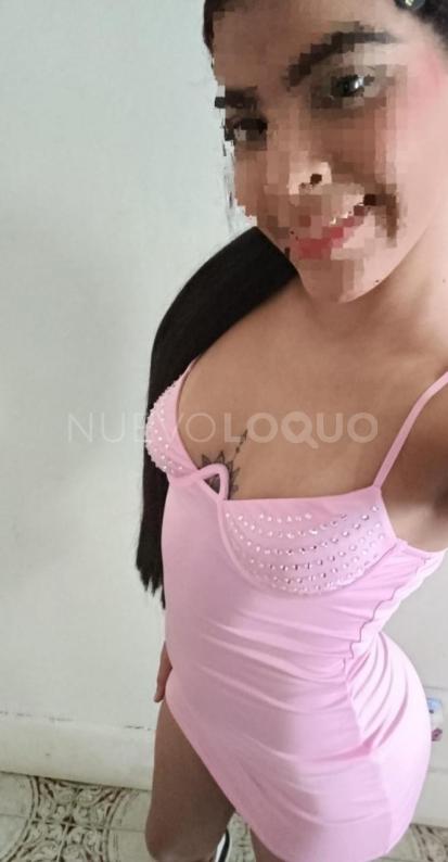 NuevoLoquo1