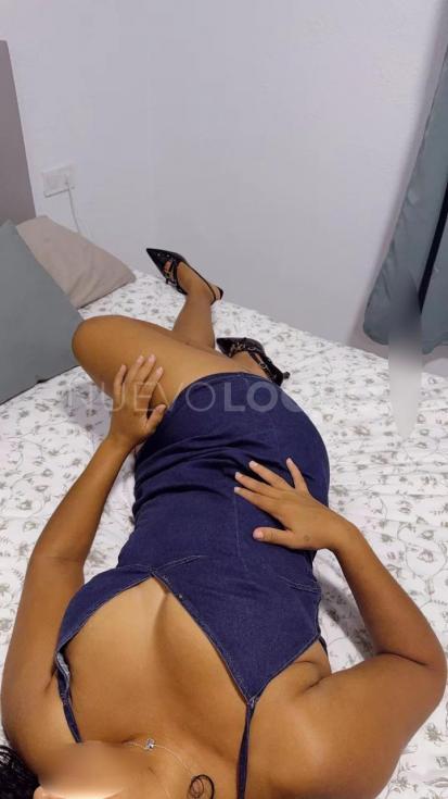 NuevoLoquo3