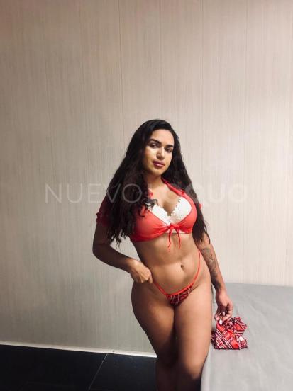 NuevoLoquo1