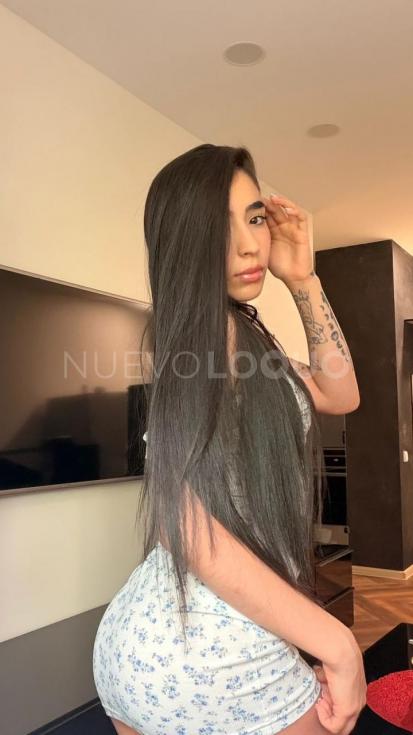 NuevoLoquo3