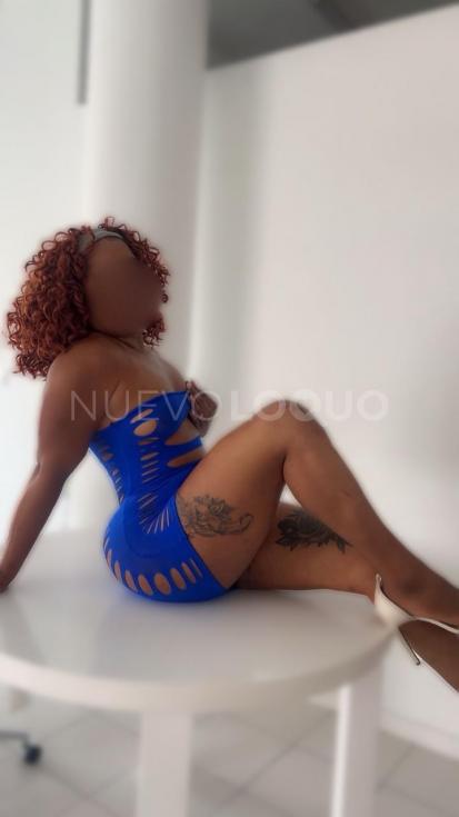 NuevoLoquo2