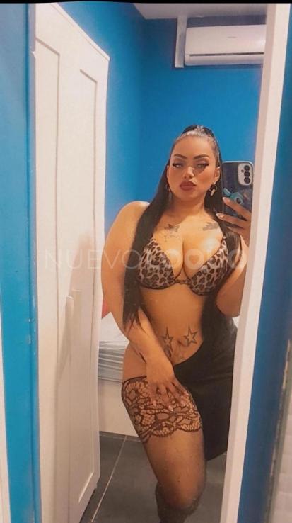 NuevoLoquo2