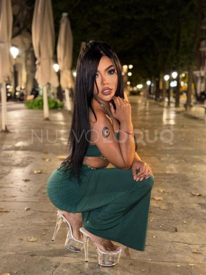 NuevoLoquo4