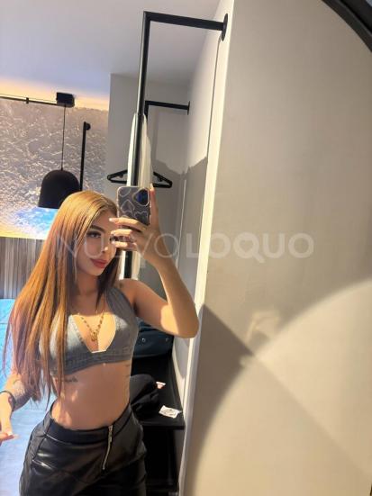 NuevoLoquo3