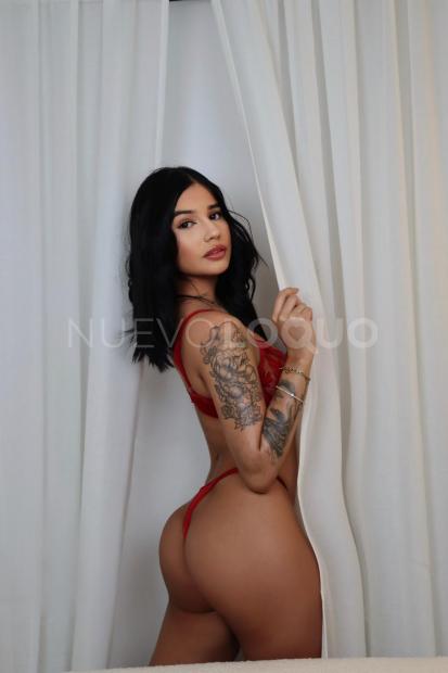 NuevoLoquo1