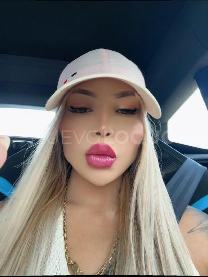 NuevoLoquo2