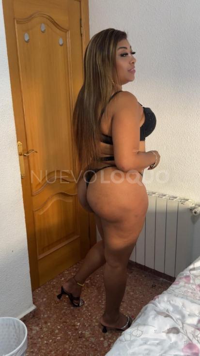 NuevoLoquo3
