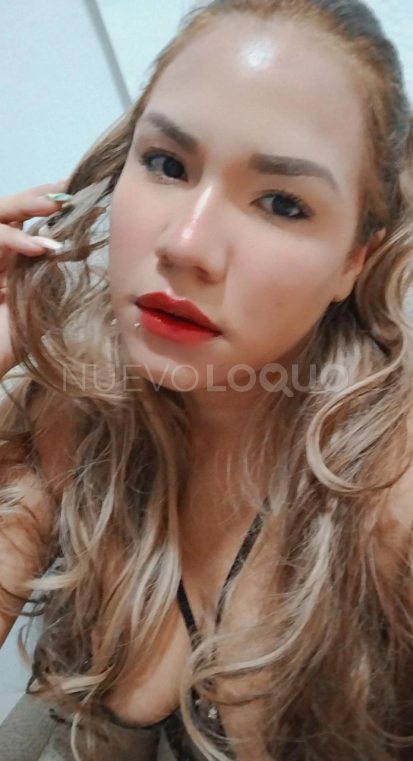 NuevoLoquo1