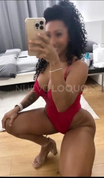 NuevoLoquo3