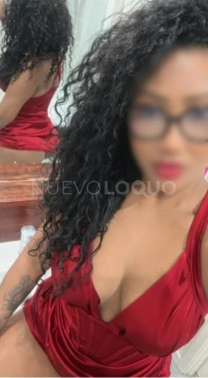 NuevoLoquo4
