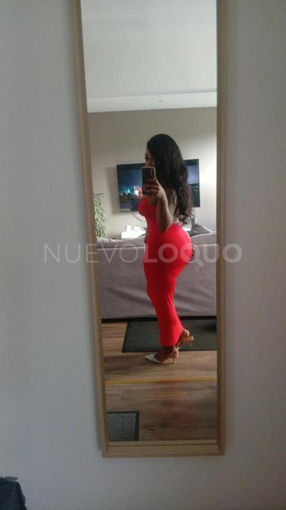 NuevoLoquo3