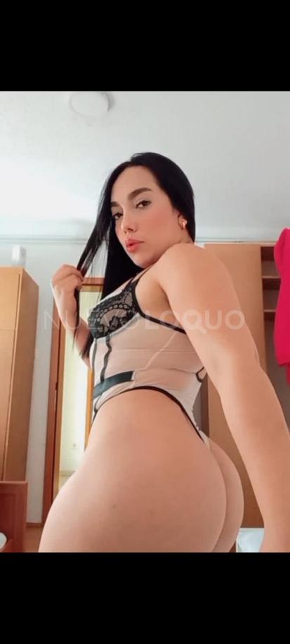 NuevoLoquo0